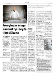 Síða 13