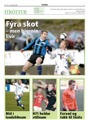 Síða 17