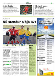 Síða 25