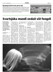 Síða 13
