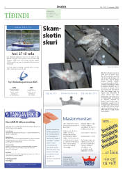 Síða 2