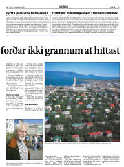 Síða 45