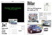 Síða 7