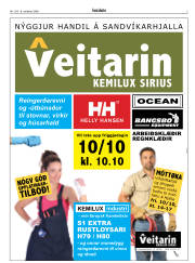 Síða 3