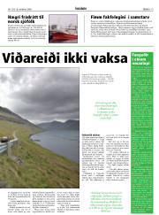 Síða 19