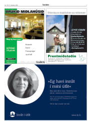 Síða 3