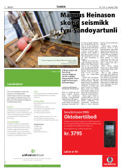 Síða 6