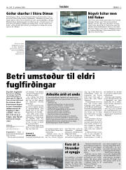 Síða 13