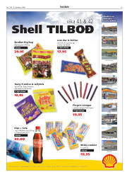 Síða 29