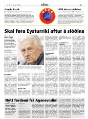 Síða 33
