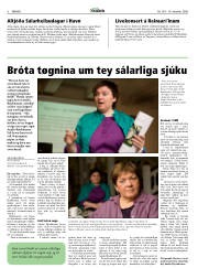 Síða 6