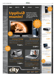 Síða 25