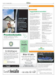 Síða 31
