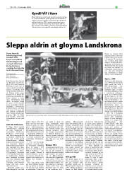Síða 33