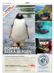 Síða 47