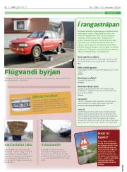 Síða 2