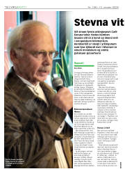 Síða 12