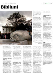 Síða 15