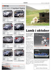 Síða 2