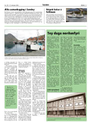 Síða 11