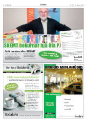 Síða 32