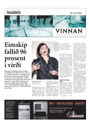 Síða 17