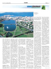 Síða 19