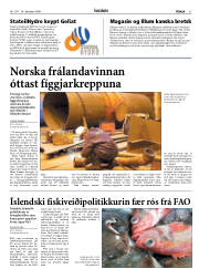 Síða 21