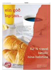 Síða 41