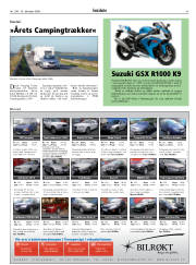 Síða 41