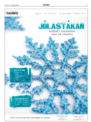 Síða 5