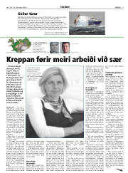 Síða 9