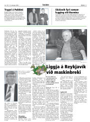 Síða 11