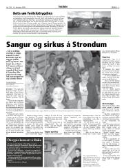 Síða 13