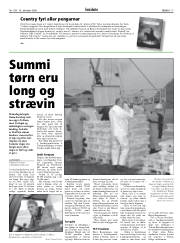 Síða 17