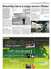 Síða 29