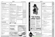 Síða 13