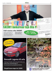Síða 29