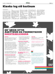 Síða 31
