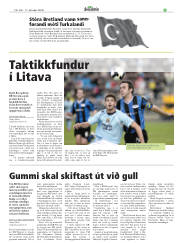 Síða 33