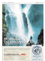 Síða 3