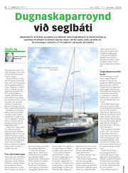 Síða 6