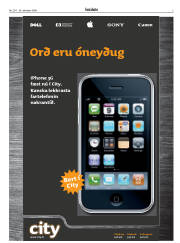 Síða 3