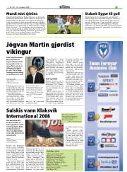 Síða 17