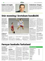 Síða 20