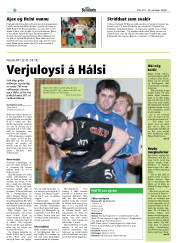 Síða 22