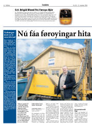 Síða 20