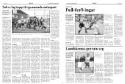 Síða 8