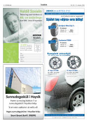 Síða 30