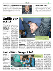 Síða 19